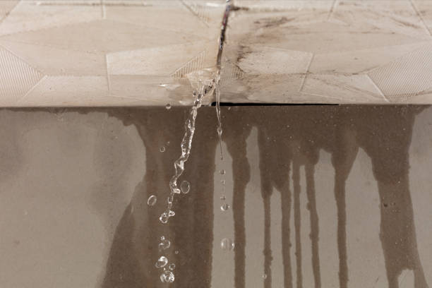 Professional Water Damage Inspection technician working in Creston, WA
